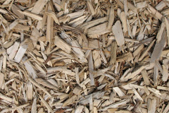 biomass boilers Sacriston
